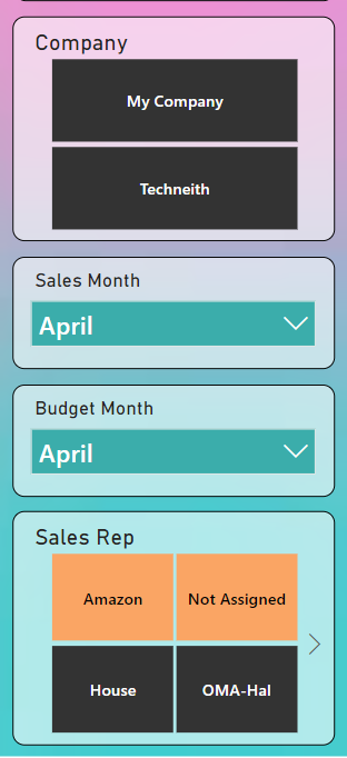 Slicers: Company, Sales Month, Budget Month, Sales Rep